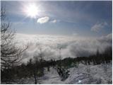 Planina Zajavornik - Mrežce